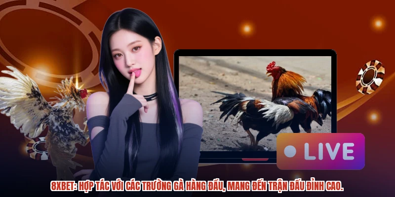 8XBET: Hợp tác với các trường gà hàng đầu, mang đến trận đấu đỉnh cao. 8XBET: Hợp tác với các trường gà hàng đầu, mang đến trận đấu đỉnh cao.