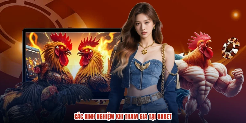 Các kinh nghiệm khi tham gia tại 8XBET
