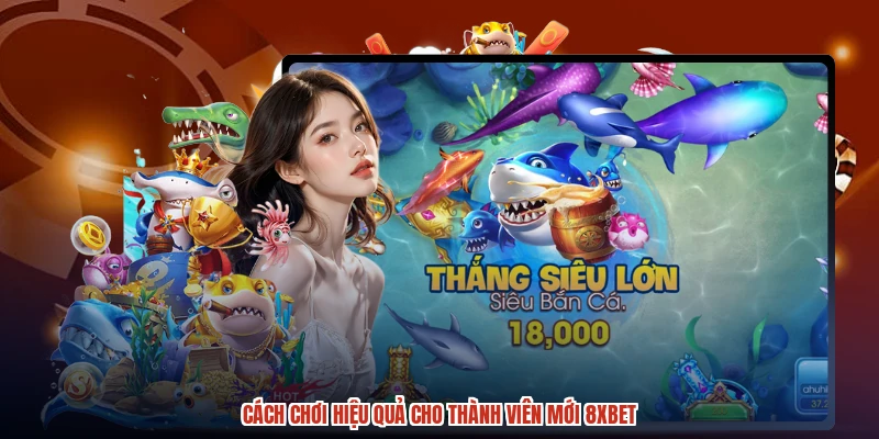 Cách chơi hiệu quả cho thành viên mới 8XBET