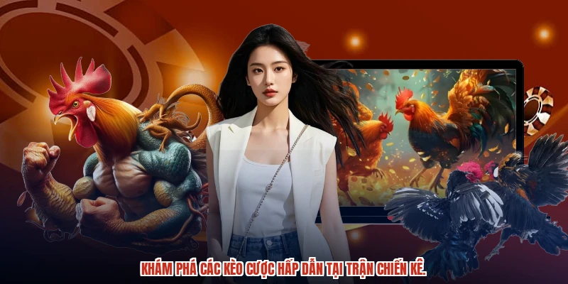 Khám phá các kèo cược hấp dẫn tại trận chiến kê.
