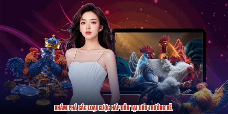 Khám phá các loại cược hấp dẫn tại đấu trường kê. Khám phá các loại cược hấp dẫn tại đấu trường kê.