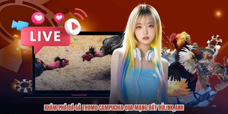 Khám phá đá gà thomo Campuchia qua mạng đầy đủanh Khám phá đá gà thomo Campuchia qua mạng đầy đủanh