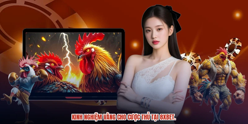 Kinh nghiệm vàng cho cược thủ tại 8XBET.