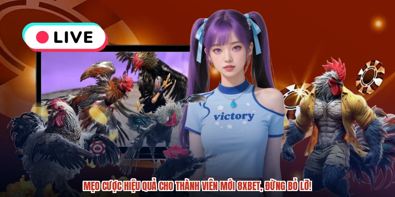 Mẹo cược hiệu quả cho thành viên mới 8XBET, đừng bỏ lỡ!