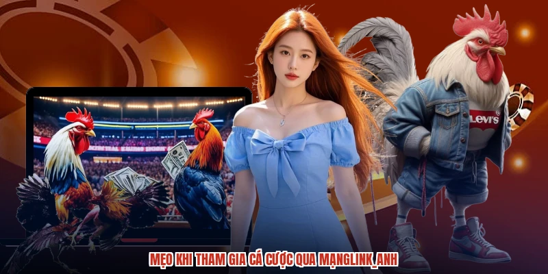 Mẹo khi tham gia cá cược qua mạnganh Mẹo khi tham gia cá cược qua mạnganh