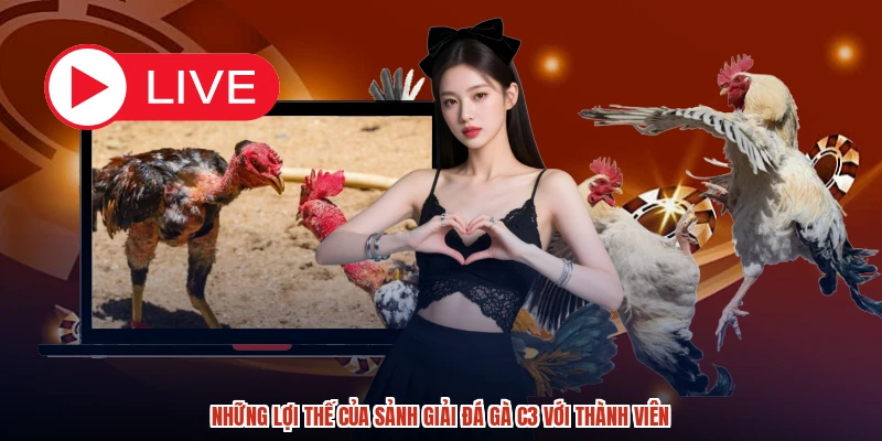 Những lợi thế của sảnh giải đá gà C3 với thành viên