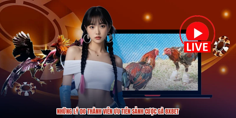 Những lý do thành viên ưu tiên sảnh cược gà 8XBET