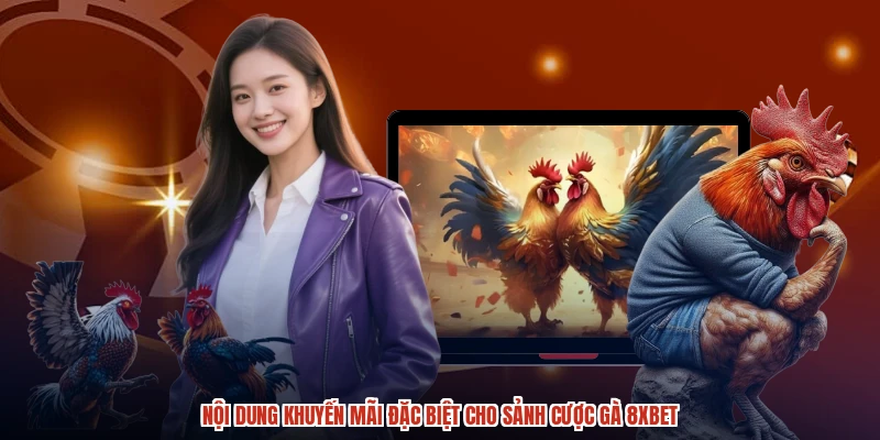Nội dung khuyến mãi đặc biệt cho sảnh cược gà 8XBET