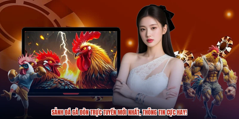 Sảnh đá gà đòn trực tuyến mới nhất, thông tin cực hay! Sảnh đá gà đòn trực tuyến mới nhất, thông tin cực hay!